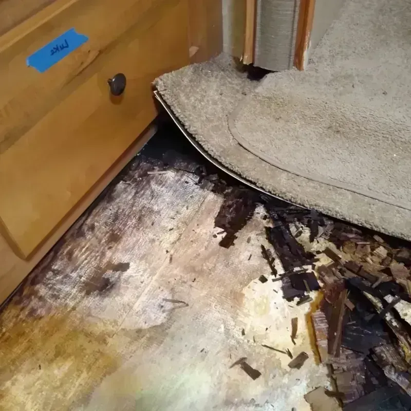 Wood Floor Water Damage in Warren County, NJ